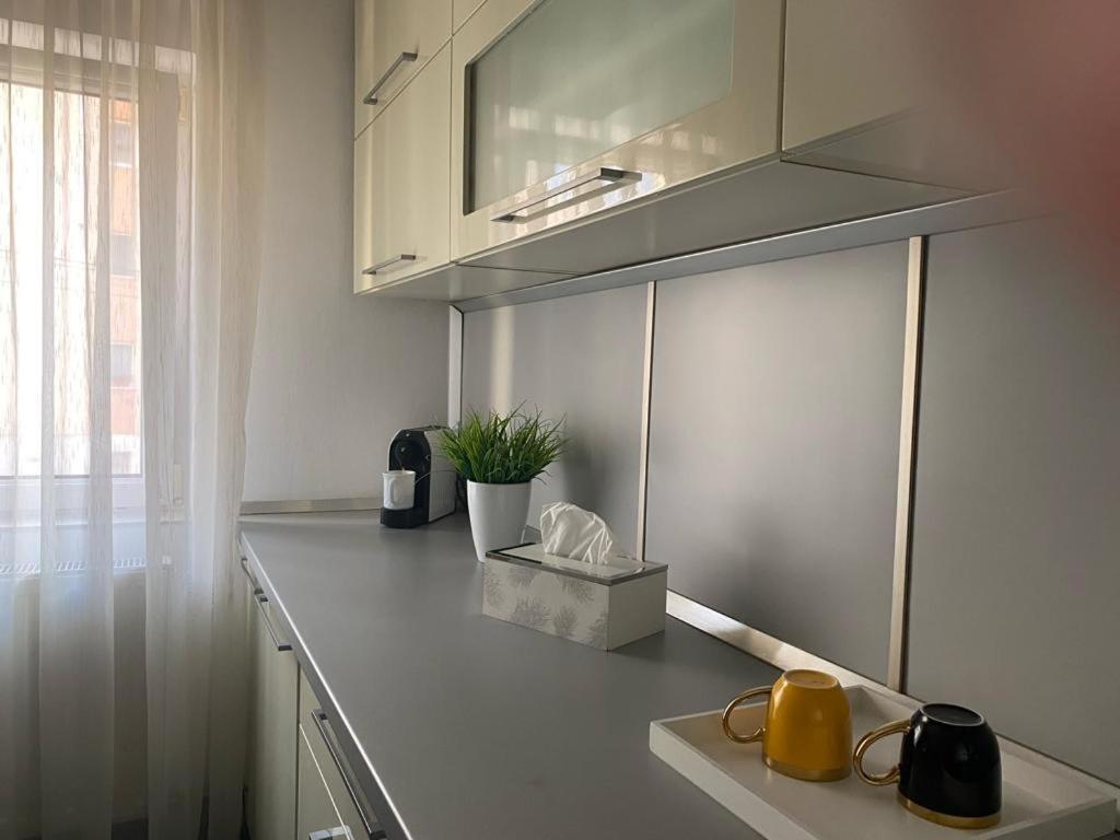 Apartament Doua Camere Baia Mare Ngoại thất bức ảnh